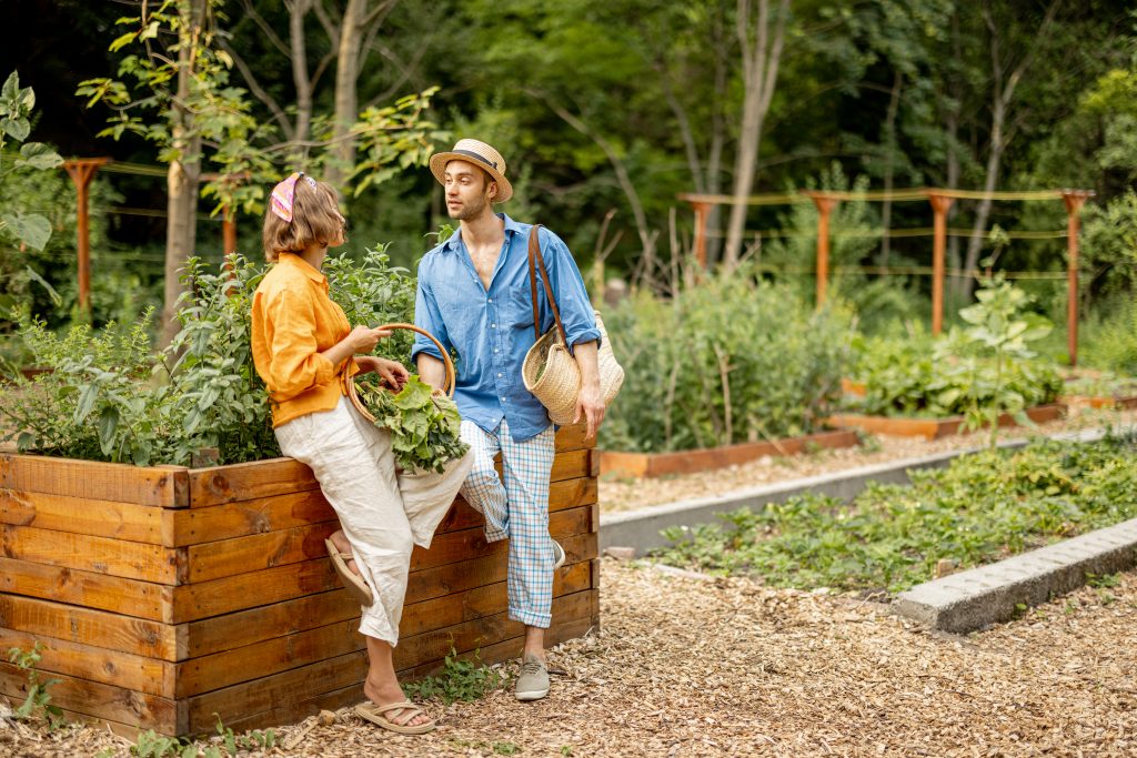 Design Inspiration Narrow Garden